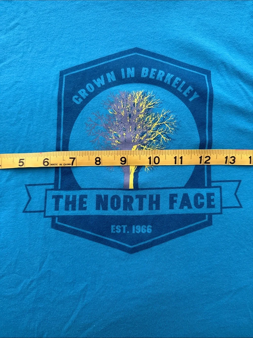 The North Face Men’s Teal Blue Graphic Short-Sleeve Tee